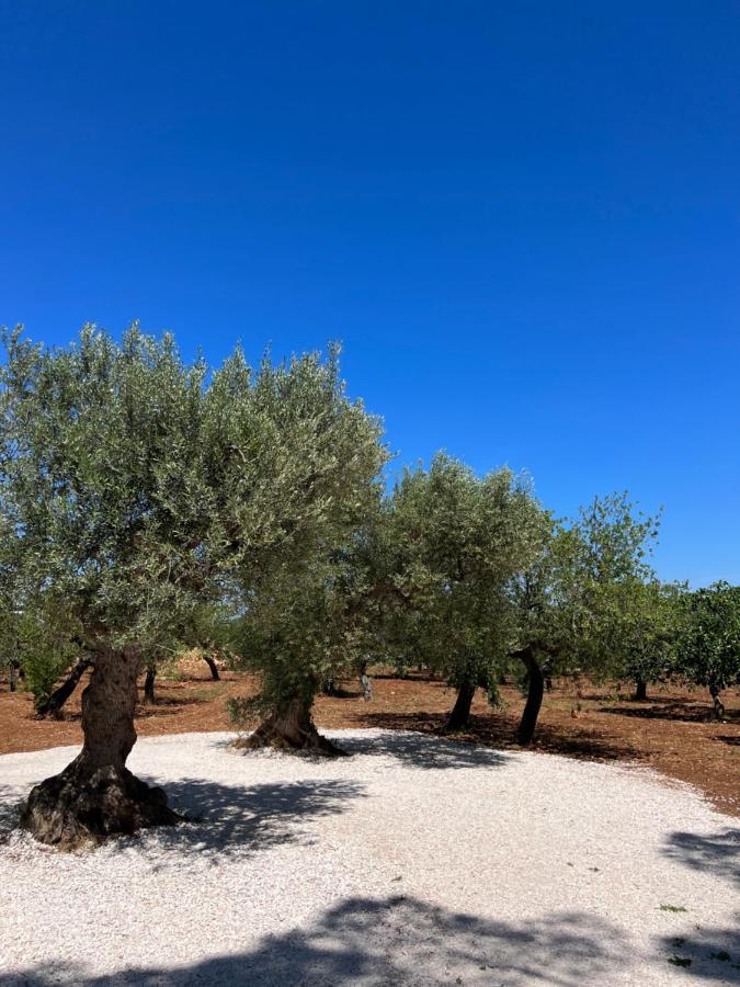 Appartamento Masseria Concorrano Castellana Grotte Esterno foto