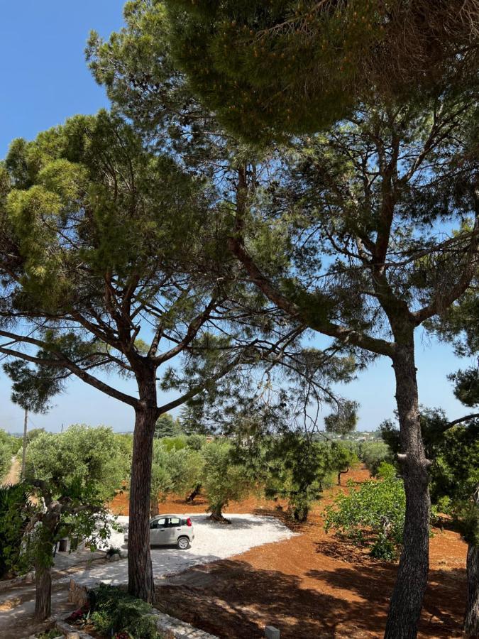 Appartamento Masseria Concorrano Castellana Grotte Esterno foto